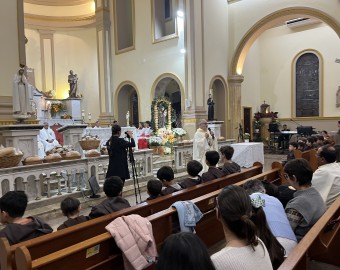 Paróquia Santo Antônio - Cambé (PR)