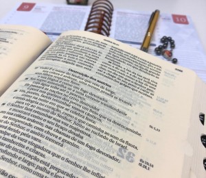 Não basta ler a Bíblia: é preciso interpretá-la 